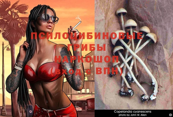 кокс Дмитриев