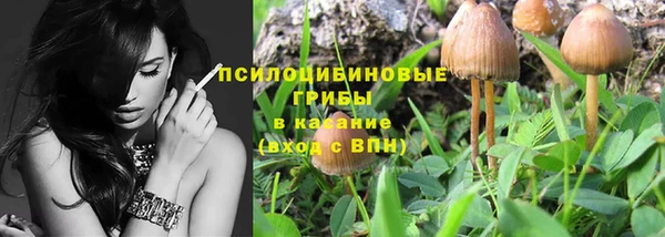 прущие крисы Куровское