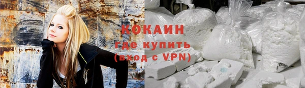 кокс Дмитриев