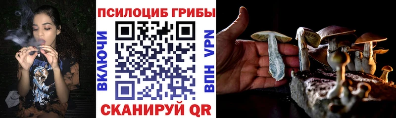 Галлюциногенные грибы мухоморы  KRAKEN сайт  Волосово 